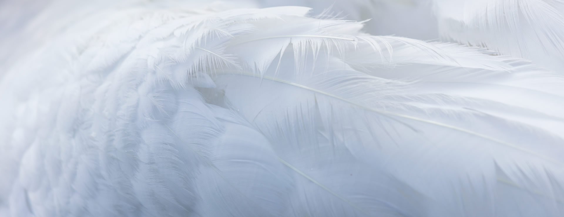 企業(yè)經(jīng)營(yíng)之本，力求言行一致。